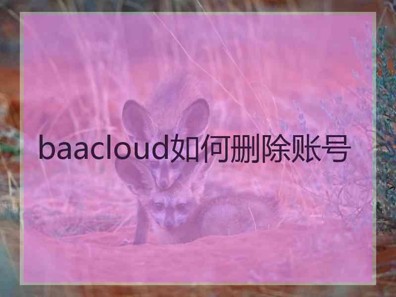 baacloud如何删除账号