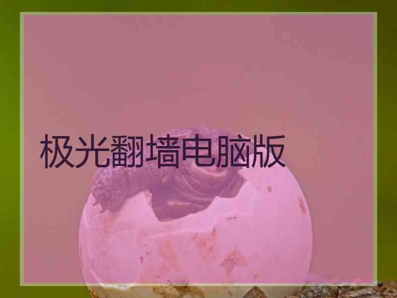 极光翻墙电脑版