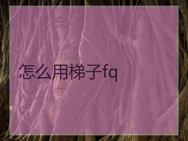 怎么用梯子fq