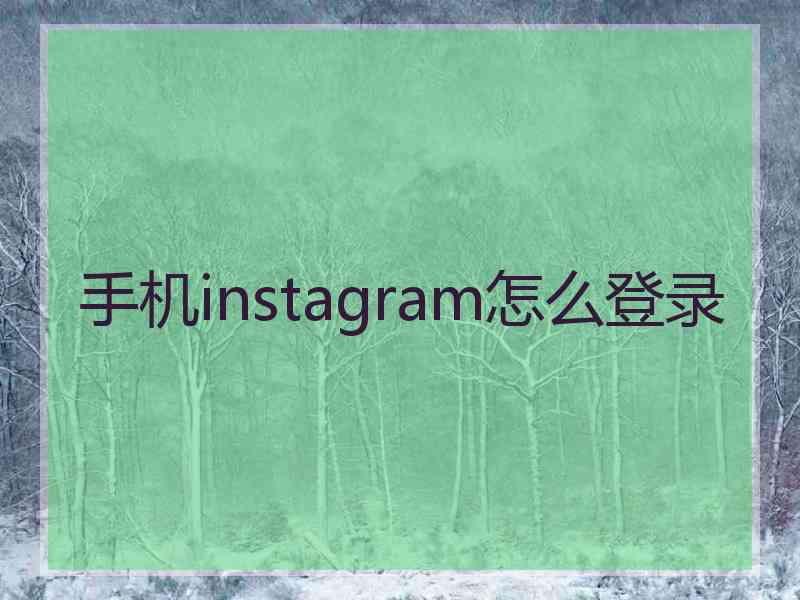 手机instagram怎么登录