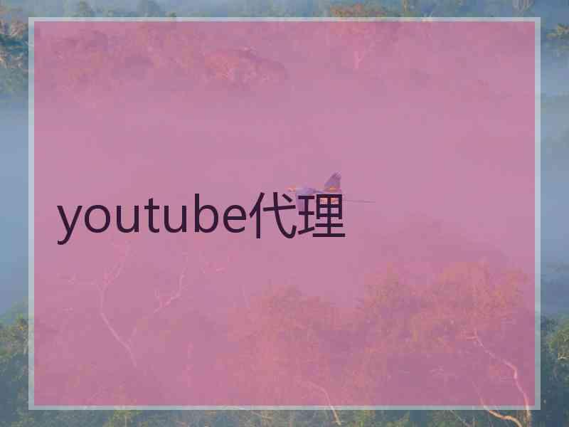 youtube代理