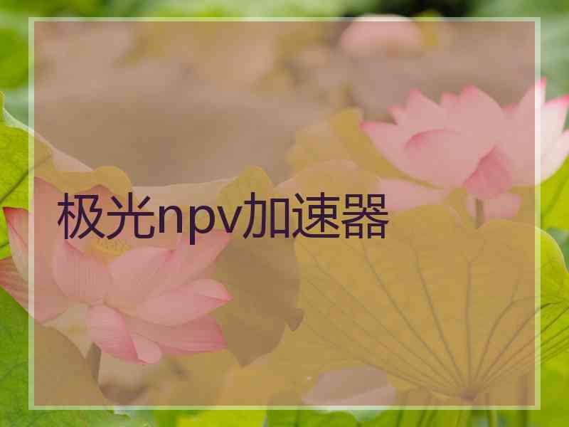 极光npv加速器