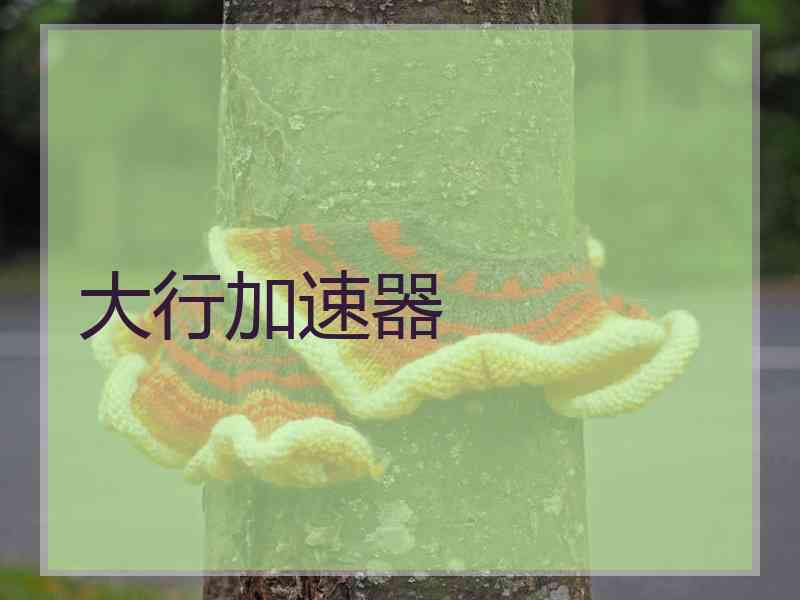 大行加速器