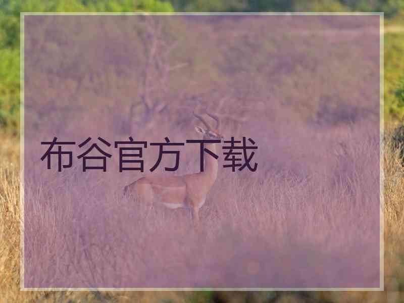 布谷官方下载