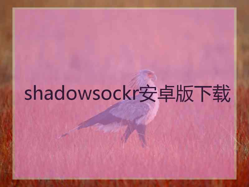 shadowsockr安卓版下载