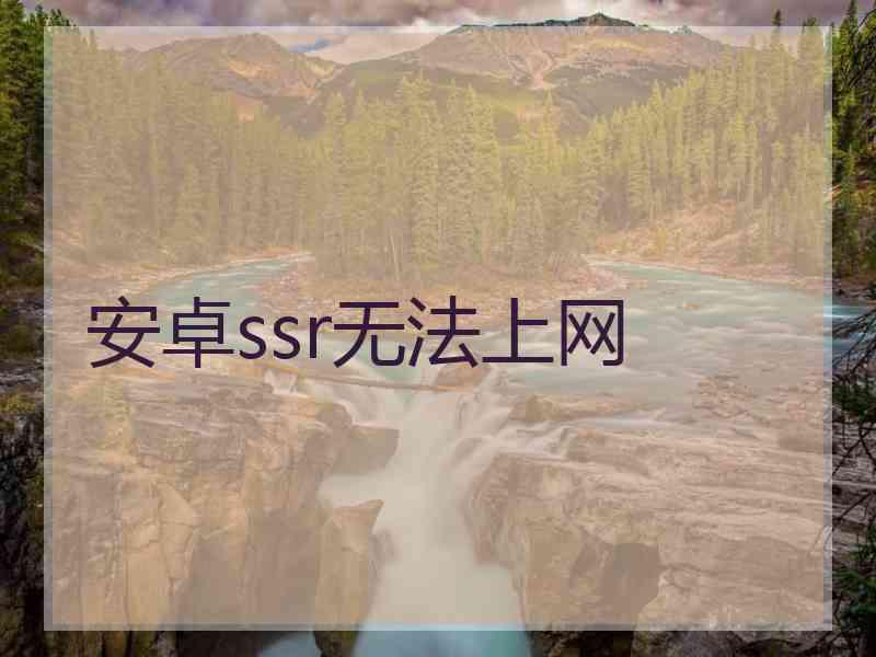 安卓ssr无法上网