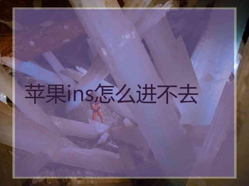 苹果ins怎么进不去