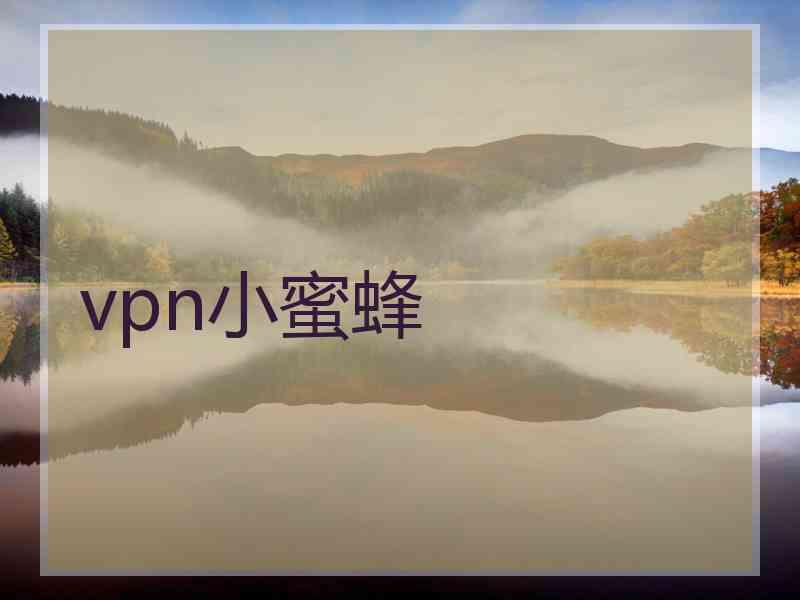 vpn小蜜蜂